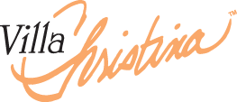 VClogoCMYKhighres